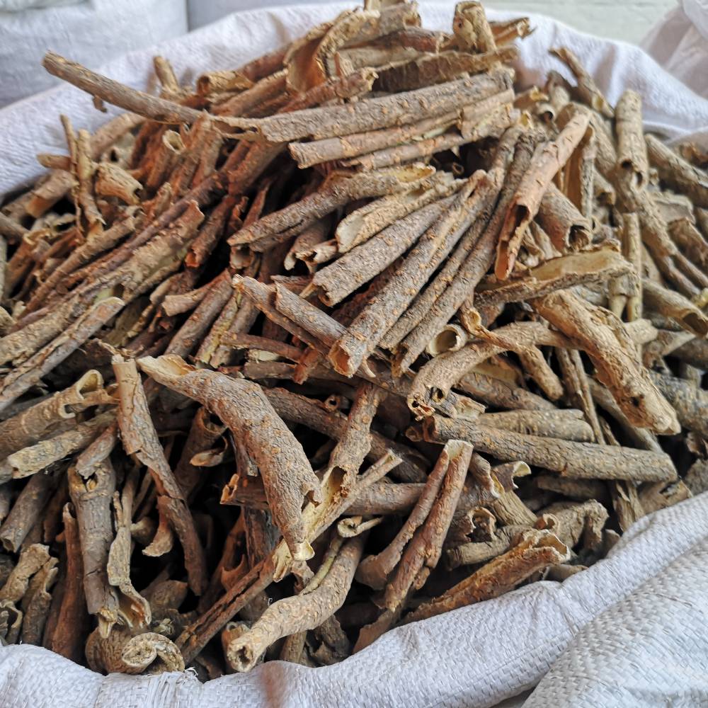 刺五加的藥用價值與相關應用場景