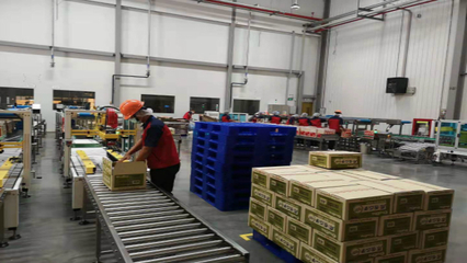 零食出海升級新篇章 洽洽5億元海外建廠與電商平臺服務(wù)的雙重驅(qū)動